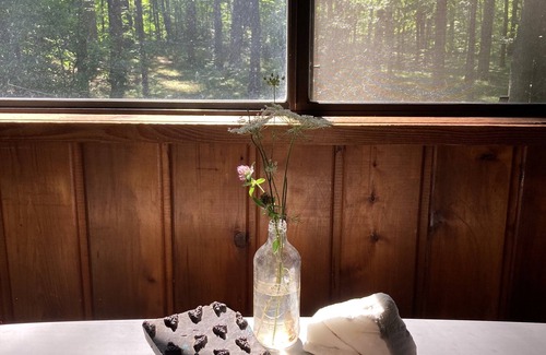 Lawrence Cabin | Secluded Cozy Cedar Wood Cabin in 20 acres of native woods, on the Paw Paw river