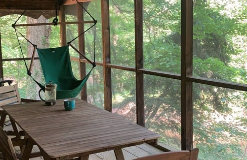 Lawrence Cabin | Secluded Cozy Cedar Wood Cabin in 20 acres of native woods, on the Paw Paw river