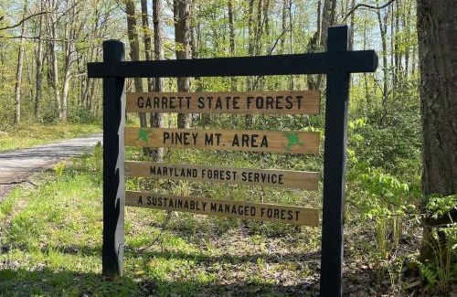 Accident House | Secluded! Near Deep Creek Lake!