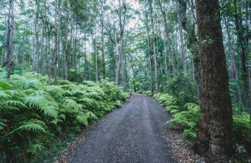 Verrierdale House | Secluded Retreat in Noosa Hinterland