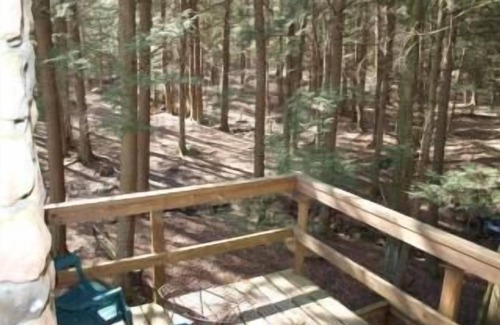 Kunkletown Cabin | Secluded vacation Cabin with Hot tub and a real fireplace
