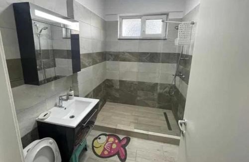 Tulcea Apartment | Second Apartment