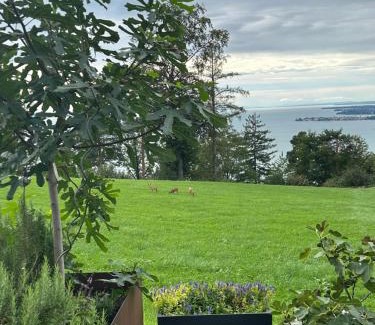 Lochau Apartment | Seeblick Appartements Henle
