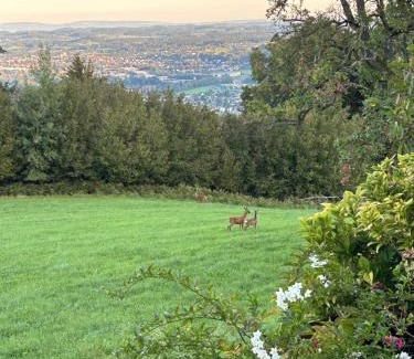 Lochau Apartment | Seeblick Appartements Henle
