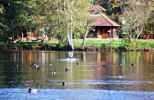 Ludwigswinkel Apartment | Seen- und Felsenland