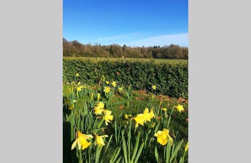 Ballyedmond House | Self Catering - Gardeners Cottage