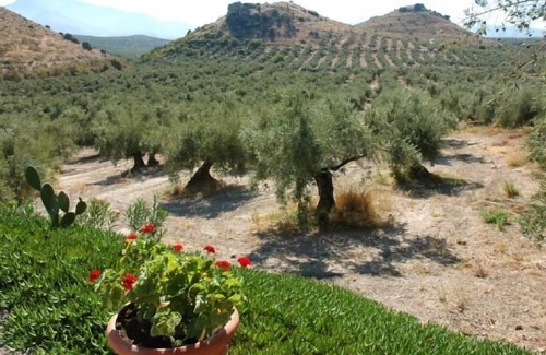Mancha Real Cottage | Self catering La Cateta for 4 people