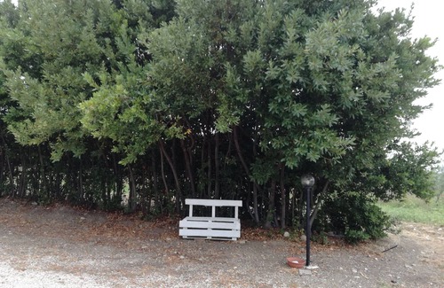 Termoli Apartment | Self-contained apartment - ground floor