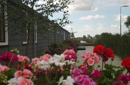 Rijpwetering Apartment | Semi-detached apartment in a rural setting