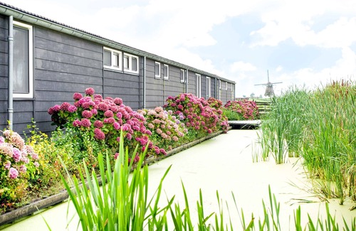 Rijpwetering Apartment | Semi-detached apartment in a rural setting