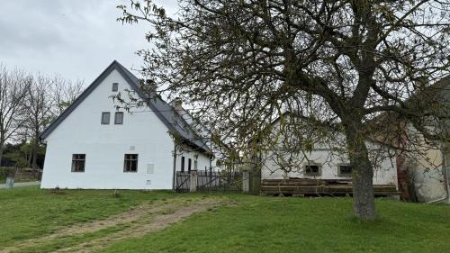 Psov House | Semtěš 5