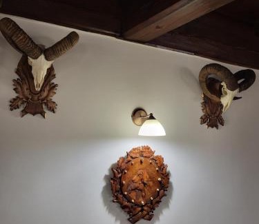 Bozsva Bed & Breakfast | Senyői Vendégház