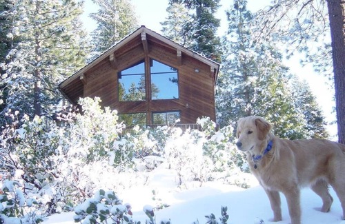 Ponderosa House | Sequoia Redwoods, Mountains, Trails, Rock Climbing, Horses, Fishing