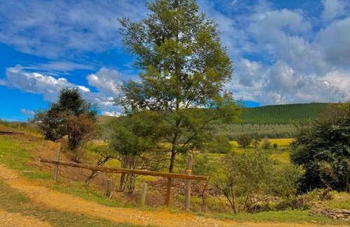Merrivale Ski Chalet | Serendipity Guest Farm Byrne