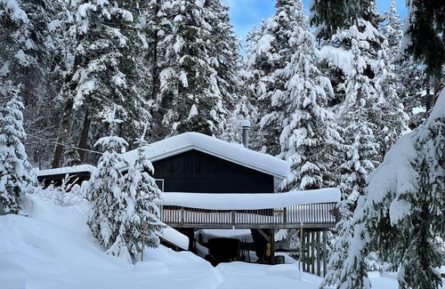 Squamish-Lillooet Regional District Cabin | Serene Lakeside Cabin with Breathtaking 180° Mountain Views-Your Perfect Escape!