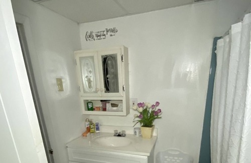 Stockade Historic District Apartment | Serene Space Near Ellis Hospital, Rivers Casino & Downtown