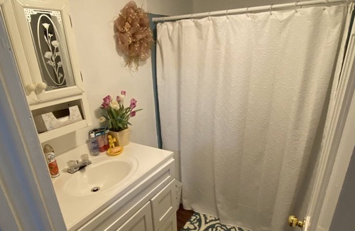 Stockade Historic District Apartment | Serene Space Near Ellis Hospital, Rivers Casino & Downtown