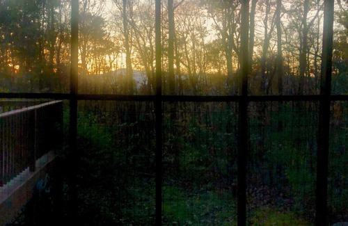 Luray Cabin | ~ Serenity in the Woods ~n Shenadoah Mountainside + River & Caverns nearby!