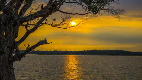 Yodakandiya House | Serenity Lake Resort Yala
