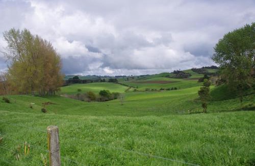 Te Miro Bed & Breakfast | Serenity on Brunskill