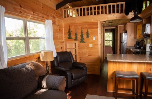 Mill Spring Cabin | Serenity Ridge Cabin C: Couple's Escape