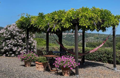 Riparbella Apartment | Serra Destri