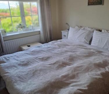 Leinster Bed & Breakfast | Seven Stars B&B