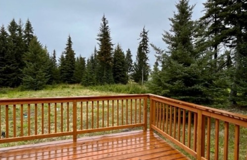 Anchor Point House | SHADY ACRES, NEW! ANCHOR POINT, PET FRIENDLY, NEAR CHARTER FISHERIES, GOLFING