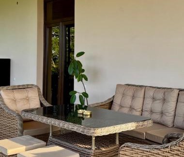 Gurjaani House | Shanshe