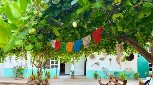 Los Tamarindos House | Shanti shanti