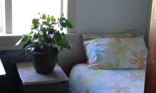 Te Akau House | Share our home farm stay