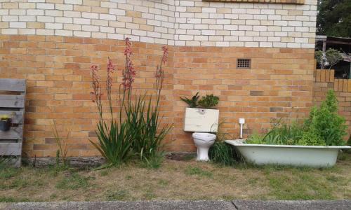 Te Akau House | Share our home farm stay