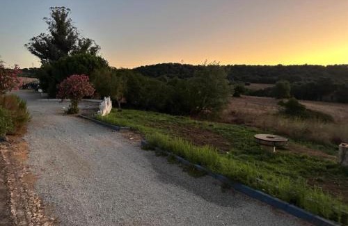 Montemor-o-Novo House | Shared Quinta with Pool and Olive Grove Views