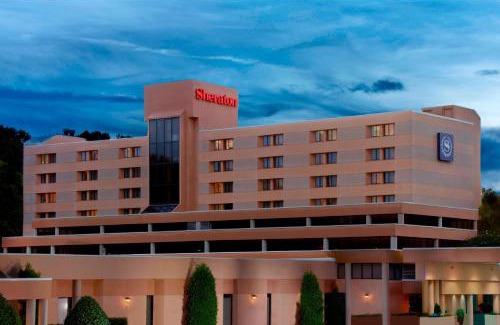 Paw Creek Hotel | Sheraton Charlotte Airport