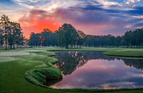 Flowood Hotel | Sheraton Flowood The Refuge Hotel & Conference Center