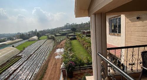 Panchgani House | Shivanya Palace- A Purple Mansion 7BHK