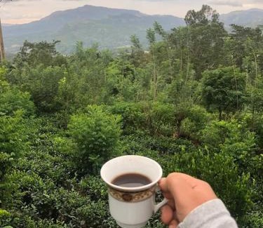 Deltota Other | show me lanka campsite and cottage