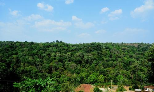Somvarpet House | Shreegandha Homestay