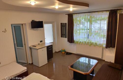 Lazaret House | Sibiu 33