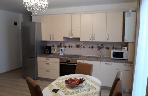 Selimbar Apartment | Sibiu Residence Genial