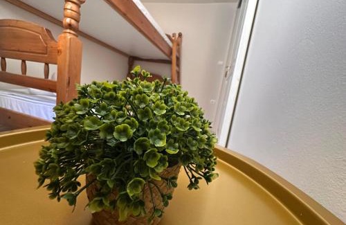 Avgonyma Apartment | Sidirounta Village Apartment