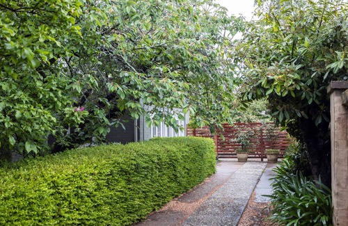 Orange Apartment | Silk Tree Studio | Steps to Cook Park