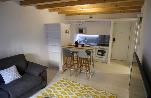 Zaragoza Old Town Apartment | Silken Casa Platerias Siglo XV