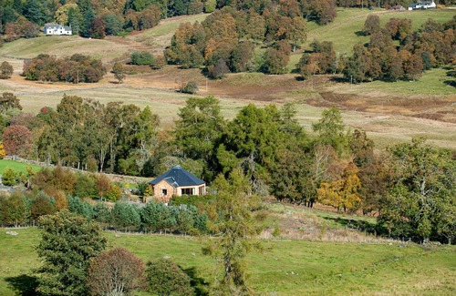 Blairgowrie Cabin | Silver Birch Treehouse @ Dalnoid - secluded, sleeps 2, hot-tub, mountain views