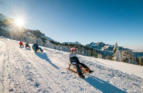 Altdorf Apartment | SimpleGlow I Lucerne I Andermatt I Nature I Family