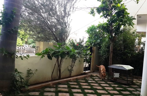 Udaipur District Villa | SINGHI VILLA GUEST HOUSE
