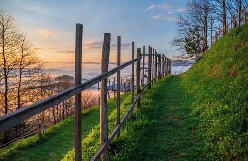 Zalec Bed & Breakfast | Single bedroom with balcony and idyllic view surrounded by nature