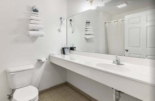 Renault Bed & Breakfast | Single King Suite with Free Breakfast and Parking!