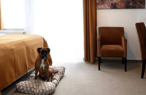 Bad Pyrmont House | Single Room - Arthotel Brunnen
