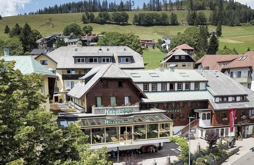 Todtnauberg Apartment | Single room beech, 18 sqm, max. 2 persons